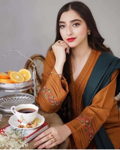 Aisling premium embroidered winter dhanak collections 2024 | Aisling Dhanak 2024