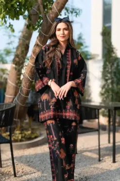 nain pret 2 Piece Silk, nain pret digital printed silk suit 2024