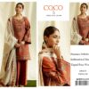 zara shahjahan winter embroidered dhanak dresses 2025