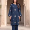 Bareeze Dhanak 2 Piece Embroidered Winter Suit with Plain Dyed Trouser 2026