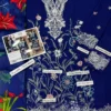 Mushq 3Pc Embroidered Dhanak Suit MQ-1554 6 mushq-winter-dhanak-3pc-dhanak-sale-2026-unstitched